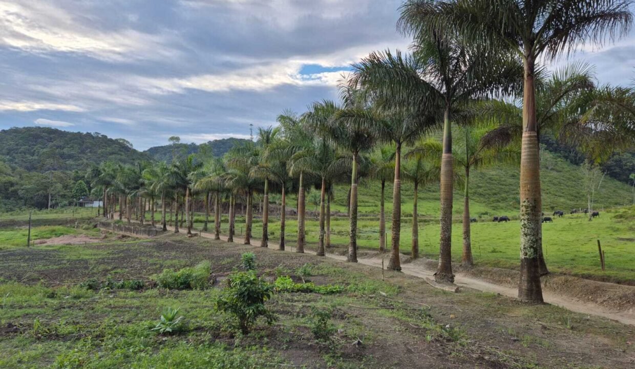 WhatsApp Image 2025-12-11 at 10.23.49 (2)