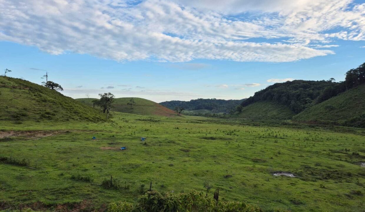 WhatsApp Image 2025-12-11 at 10.23.49 (3)