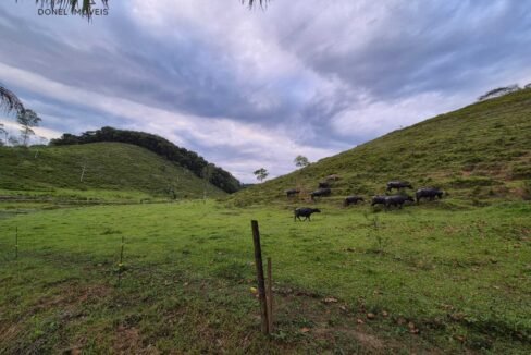 WhatsApp Image 2025-12-11 at 10.23.49