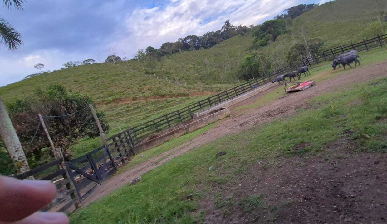 WhatsApp Image 2025-12-11 at 10.23.53