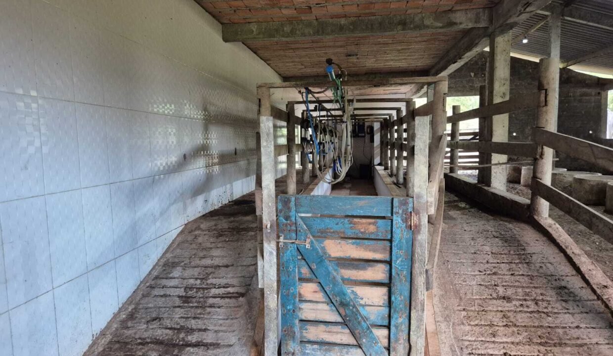 WhatsApp Image 2025-12-11 at 10.23.54 (1)