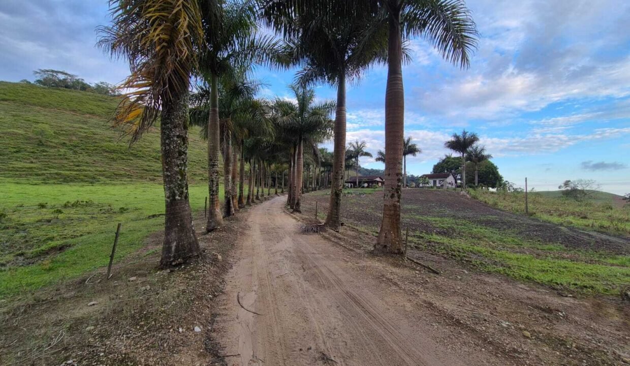 WhatsApp Image 2025-12-11 at 10.23.54