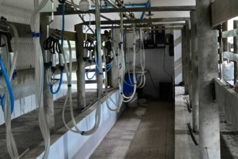 WhatsApp Image 2025-12-11 at 10.23.55 (2)