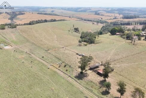 WhatsApp Image 2026-03-13 at 15.19.09