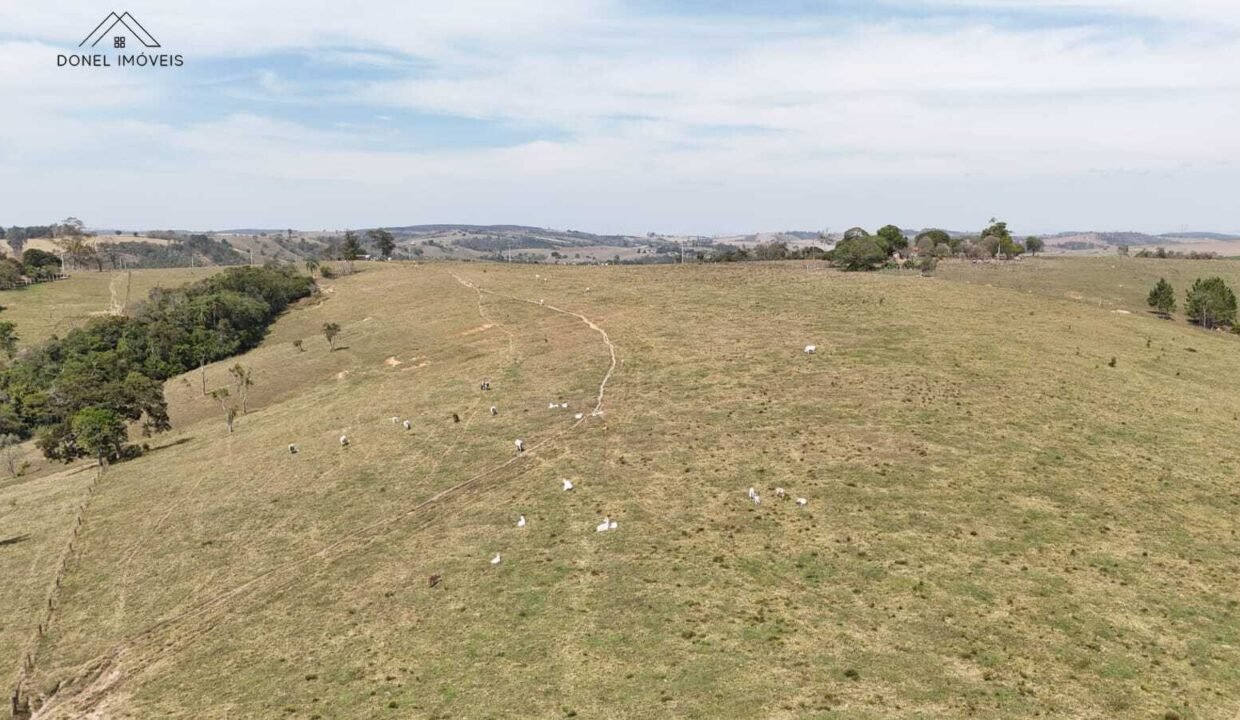 WhatsApp Image 2026-03-13 at 15.19.11