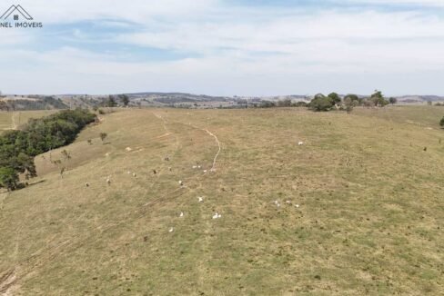 WhatsApp Image 2026-03-13 at 15.19.11