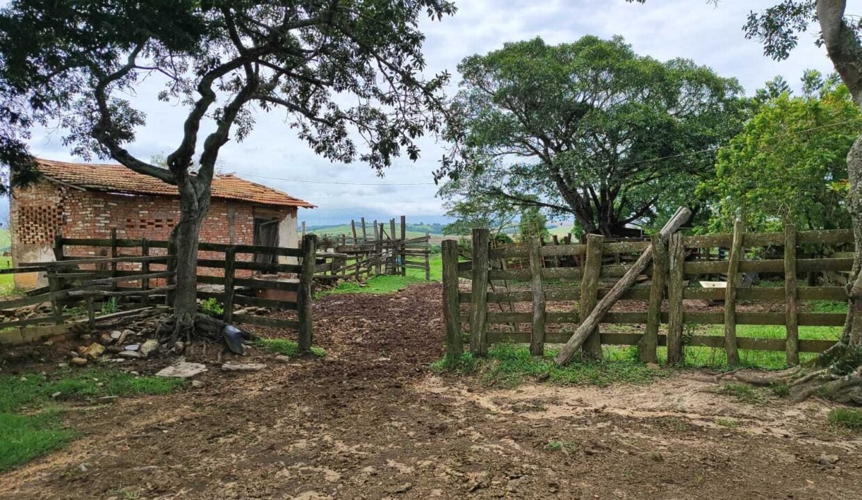 WhatsApp Image 2026-03-13 at 15.19.13