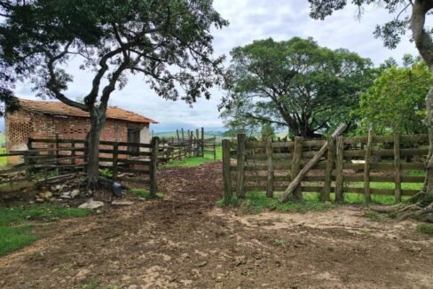 WhatsApp Image 2026-03-13 at 15.19.13