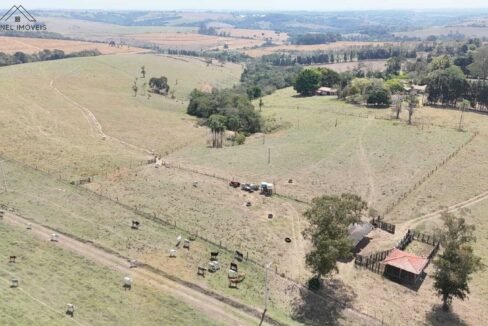 WhatsApp Image 2026-03-13 at 15.19.14