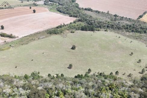 WhatsApp Image 2026-03-13 at 15.19.15