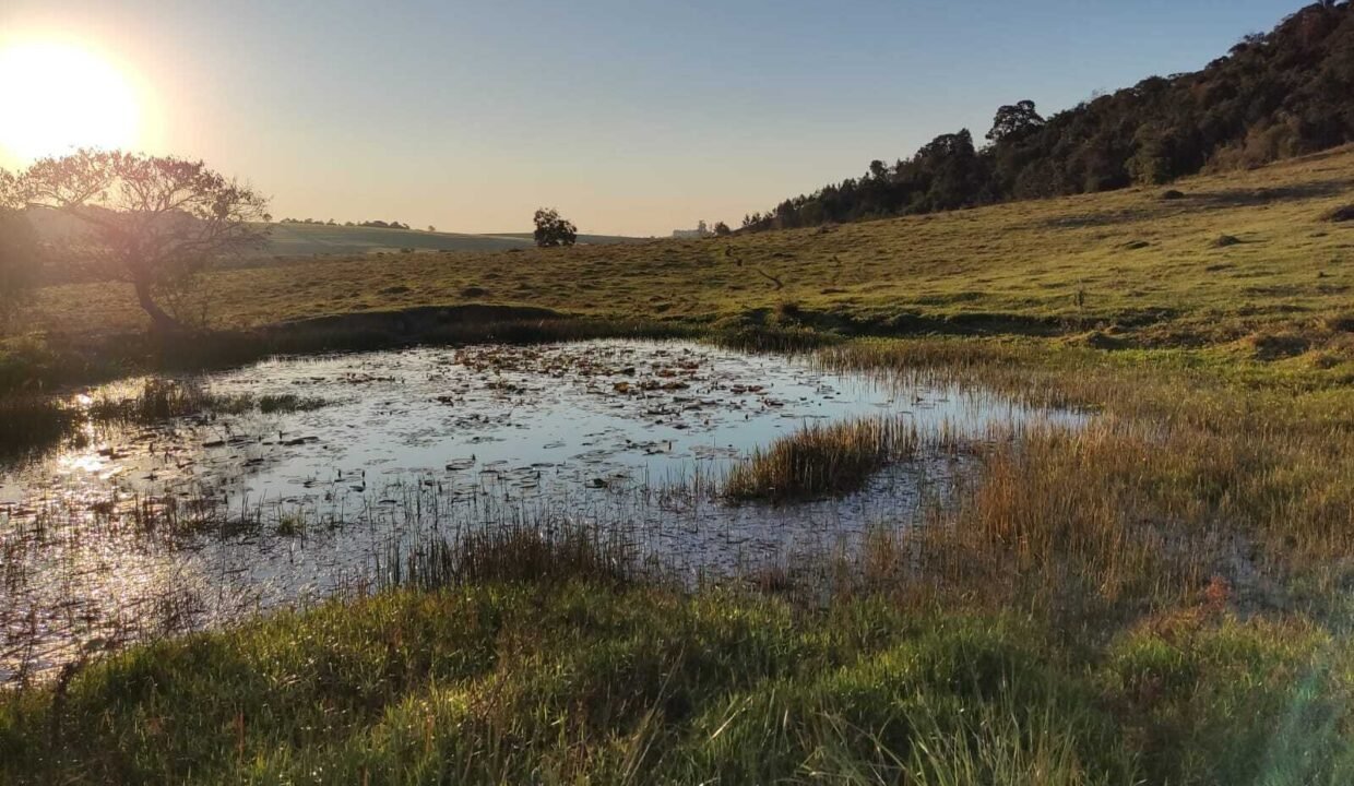 WhatsApp Image 2026-03-13 at 15.19.16 (1)