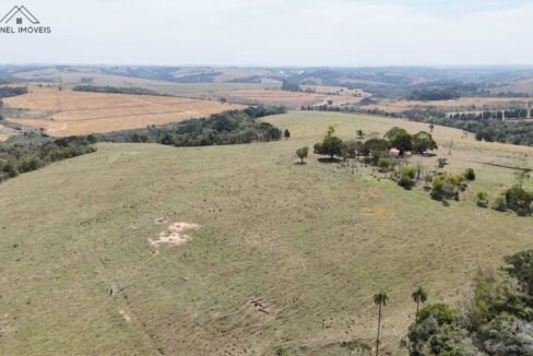 WhatsApp Image 2026-03-13 at 15.19.16