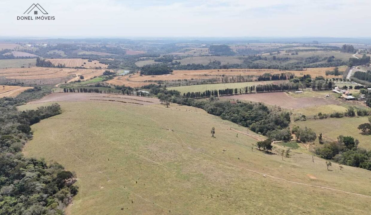 WhatsApp Image 2026-03-13 at 15.19.17