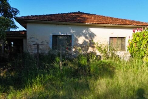 WhatsApp Image 2026-03-13 at 15.20.29 (2)