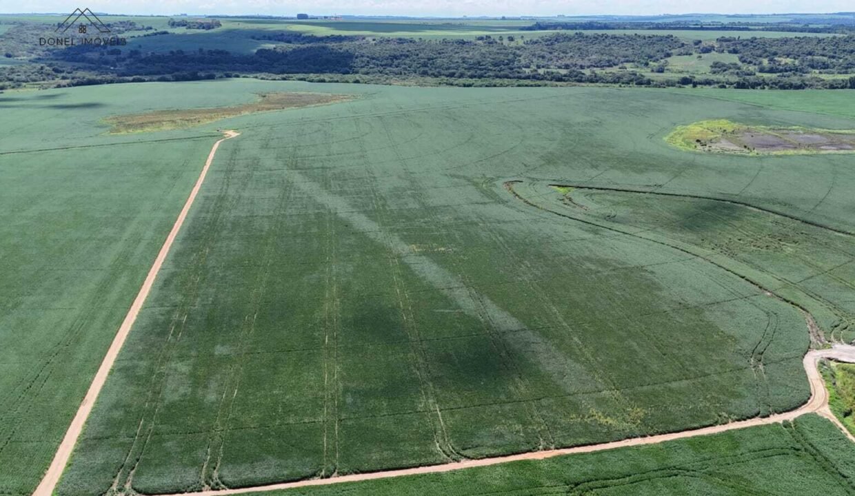 WhatsApp Image 2026-03-18 at 10.53.06