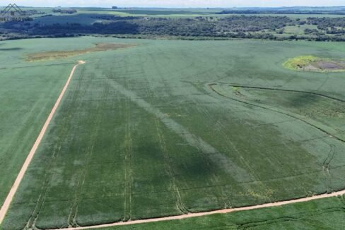 WhatsApp Image 2026-03-18 at 10.53.06