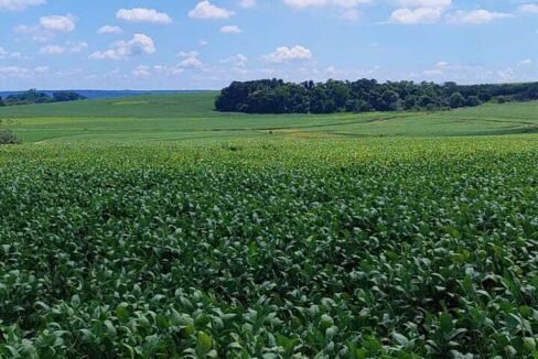 WhatsApp Image 2026-03-18 at 10.53.07 (1)