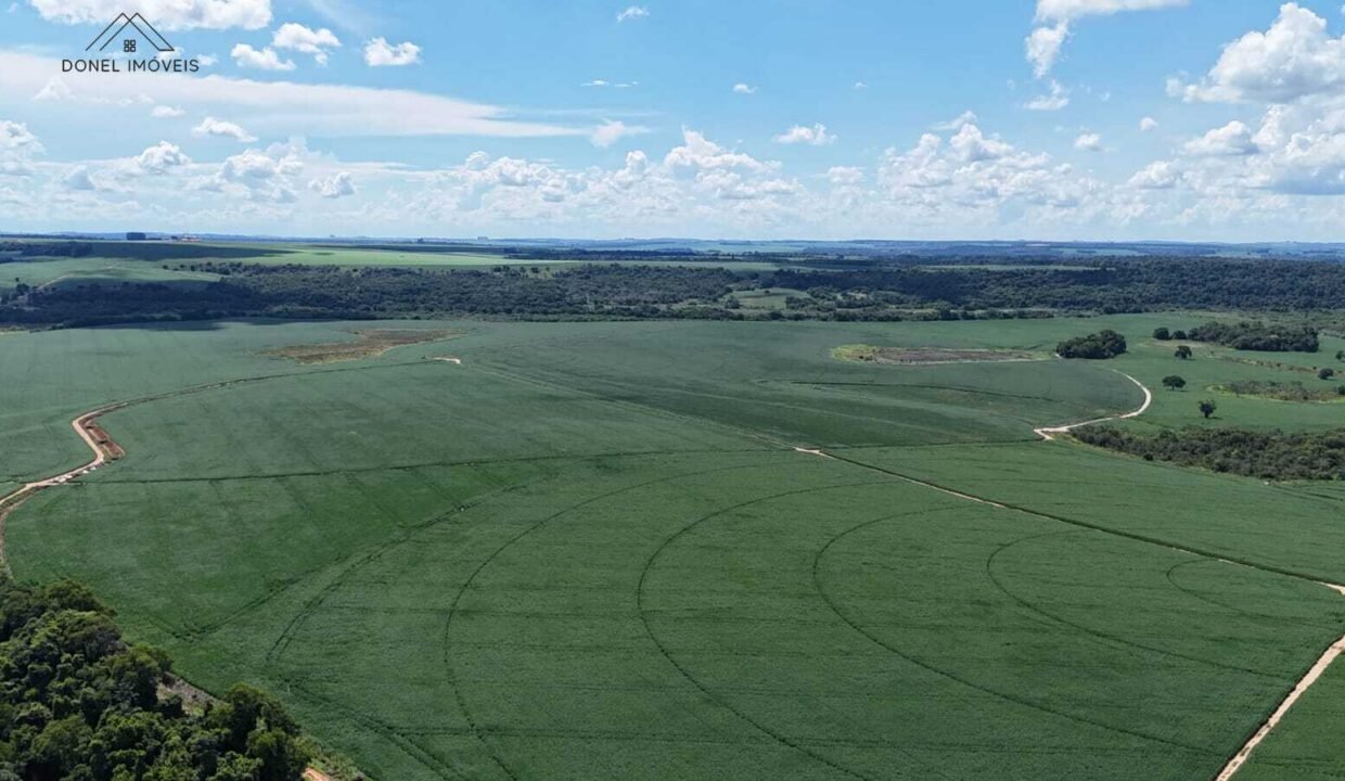 WhatsApp Image 2026-03-18 at 10.53.07