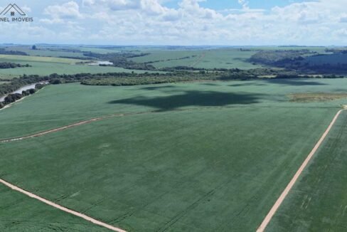 WhatsApp Image 2026-03-18 at 10.53.07 (3)