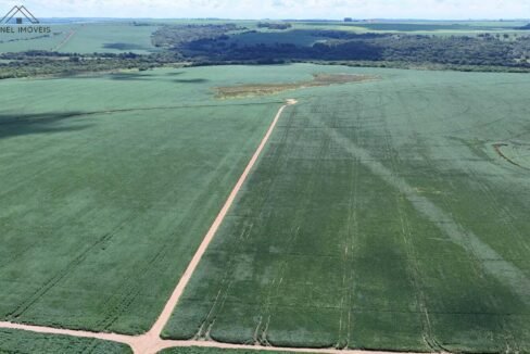 WhatsApp Image 2026-03-18 at 10.53.08 (1)