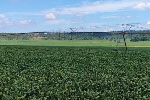 WhatsApp Image 2026-03-18 at 10.53.09 (3)