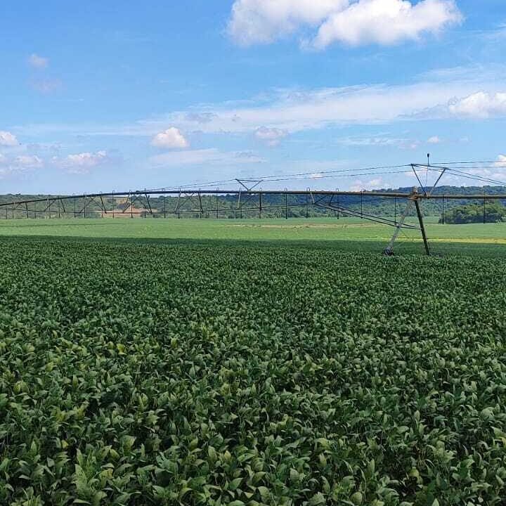 WhatsApp Image 2026-03-18 at 10.53.09 (3)