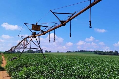 WhatsApp Image 2026-03-18 at 10.53.10 (2)