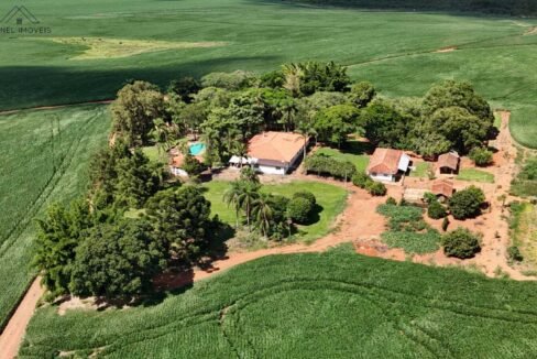 WhatsApp Image 2026-03-18 at 10.53.11 (1)