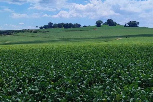 WhatsApp Image 2026-03-18 at 10.53.11 (2)