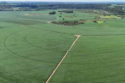 WhatsApp Image 2026-03-18 at 10.53.11