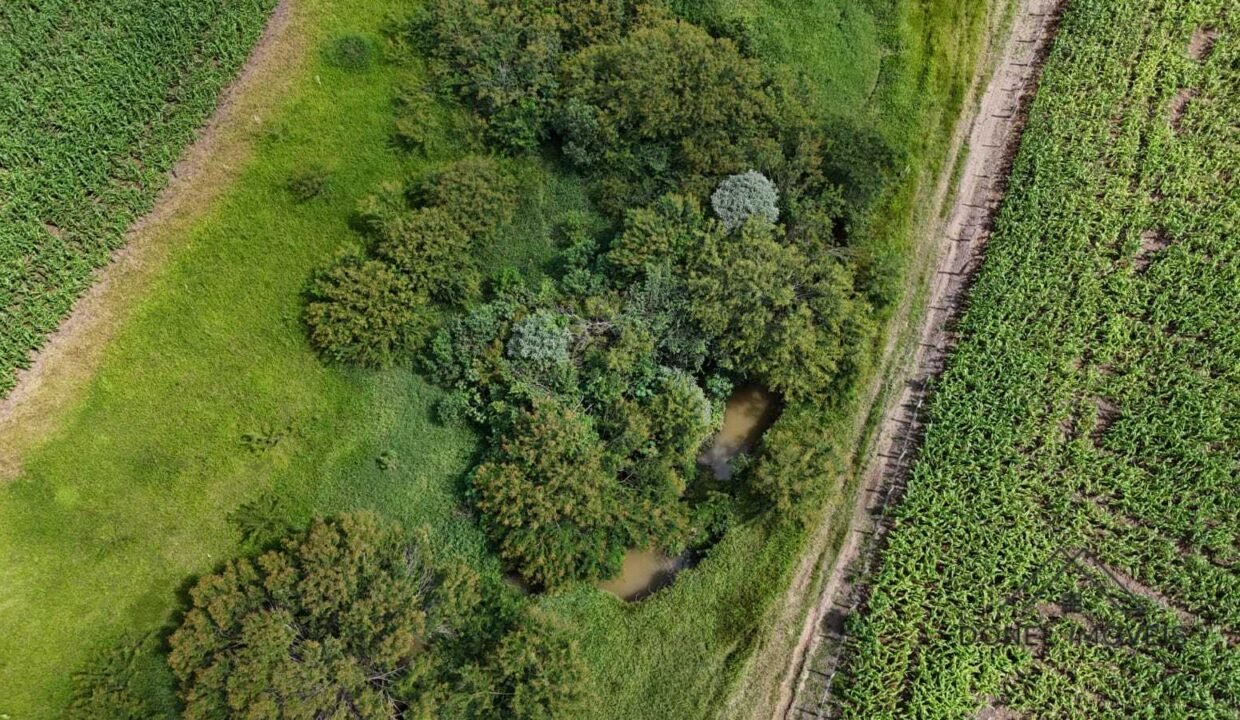 WhatsApp Image 2026-04-29 at 14.14.15f