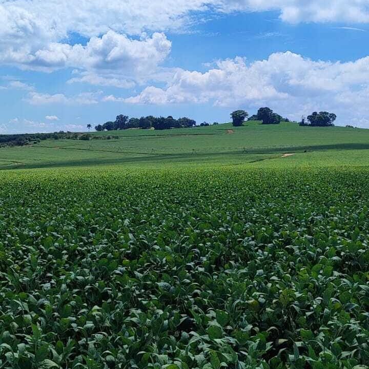 WhatsApp Image 2026-04-29 at 14.15.44 (1)