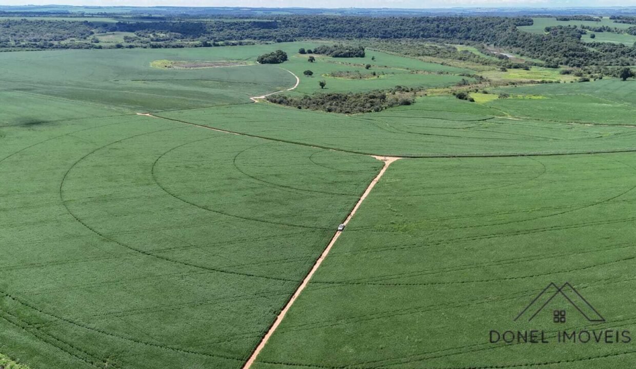 WhatsApp Image 2026-04-29 at 14.15.44