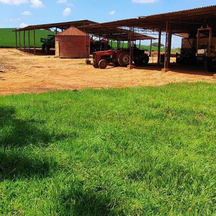 WhatsApp Image 2026-04-29 at 14.15.45