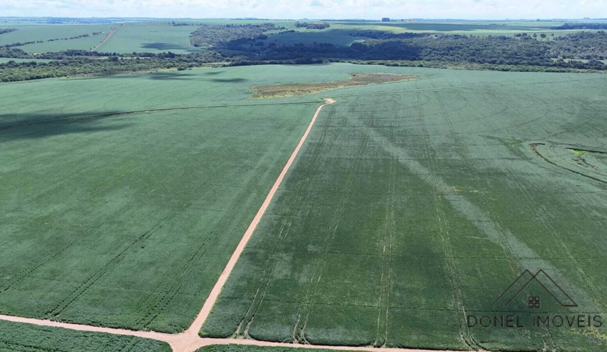 WhatsApp Image 2026-04-29 at 14.15.46