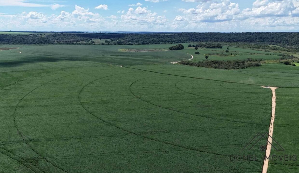 WhatsApp Image 2026-04-29 at 14.15.46 (2)