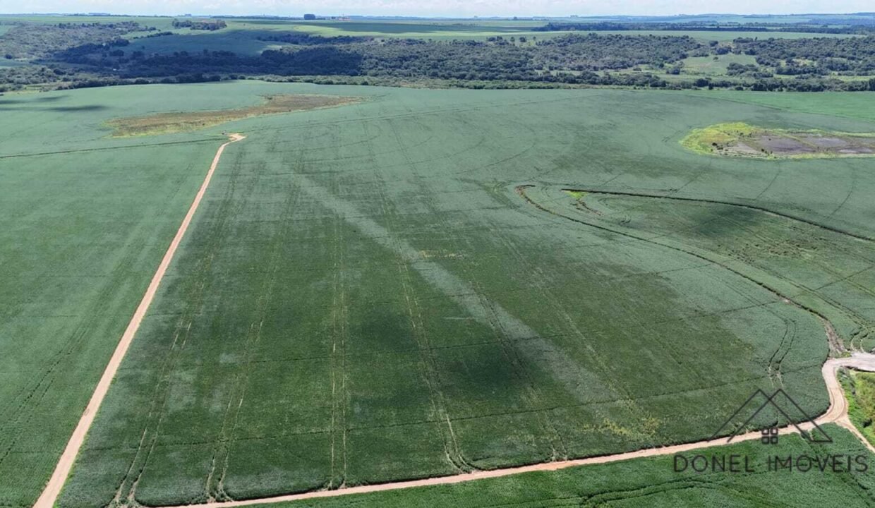 WhatsApp Image 2026-04-29 at 14.15.48