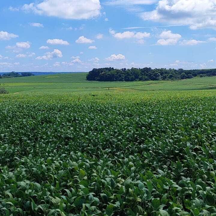 WhatsApp Image 2026-04-29 at 14.15.49 (1)