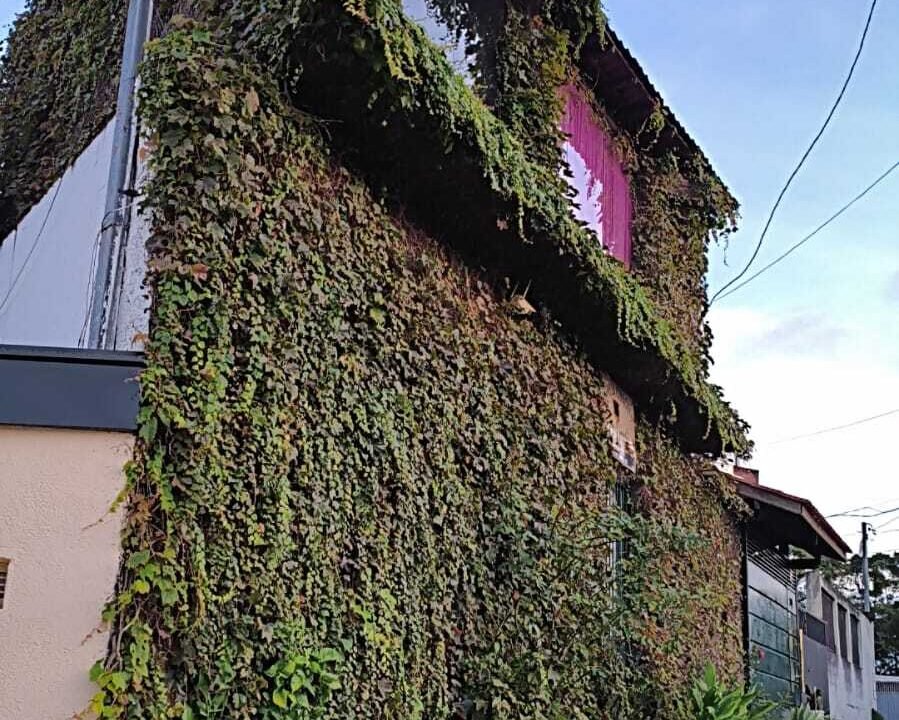 WhatsApp Image 2026-04-29 at 16.03.15 (1)