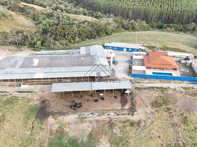 EXCELENTE FAZENDA LEITEIRA À VENDA NA REGIÃO DE ITAPETININGA-SP