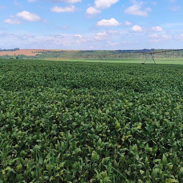 WhatsApp Image 2026-10-02 at 20.23.07 (2)-marca-dagua